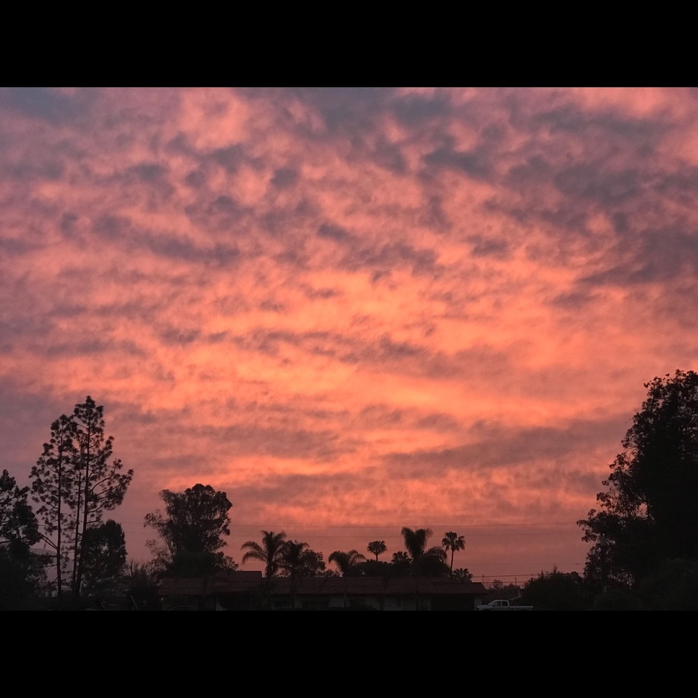 Meet your Posher, Joanne